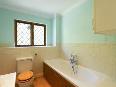 Picture 23